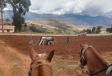 Peru-Cusco-Huchuy Qosqo Ride